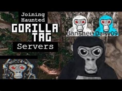 Haunted gorilla tag servers. Things To Know About Haunted gorilla tag servers. 